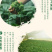 云南文山三七花茶头茬新花田七花茶精选四年生三七花