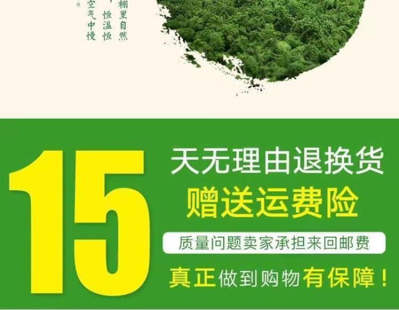 云南文山三七花茶头茬新花田七花茶精选四年生三七花