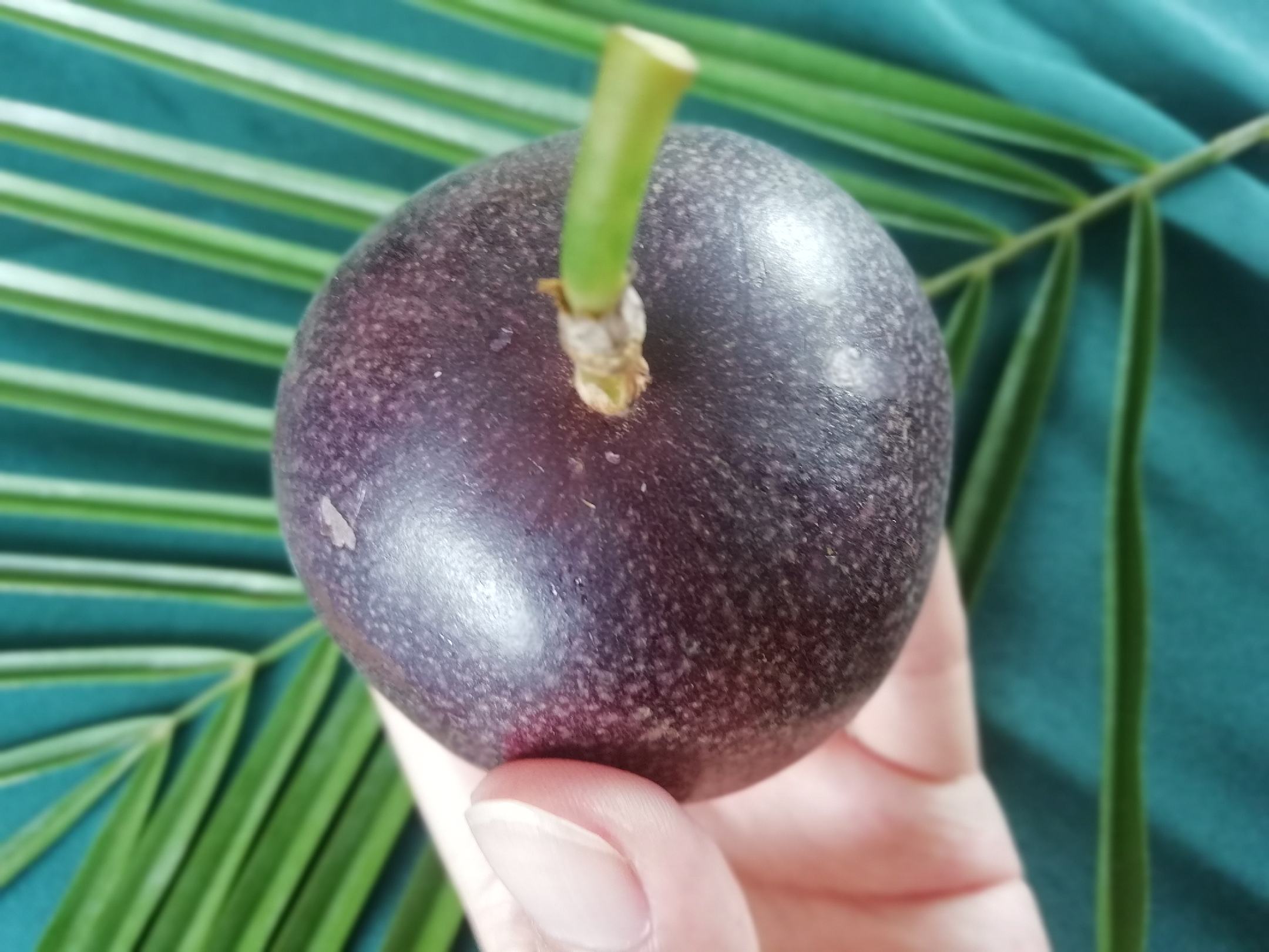 男性生殖健康膳食组合图:菠萝作为抗氧化水果代表,与富锌(南瓜籽、牡蛎)、富硒(巴西坚果未入镜,以牡蛎替代)、富叶酸(菠菜)、富Omega-3(亚麻籽)食材科学搭配,体现‘菠萝是健康拼图之一,而非万能钥匙’的核心理念 菠萝与其他男性生殖健康食材并置图:左侧新鲜菠萝切块,右侧为南瓜籽、牡蛎干、深绿菠菜、亚麻籽粉,全部置于天然竹制托盘中,光线柔和,突出天然食材本色
