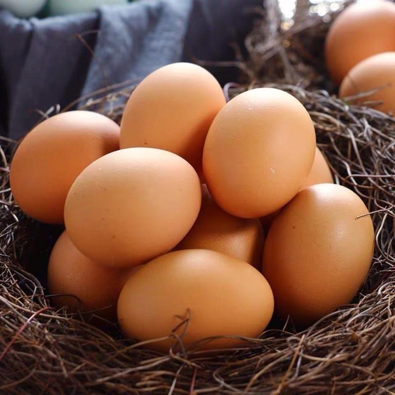 红壳鸡蛋大码45斤360枚/箱养殖基地直发