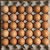 红壳鸡蛋大码45斤360枚/箱养殖基地直发