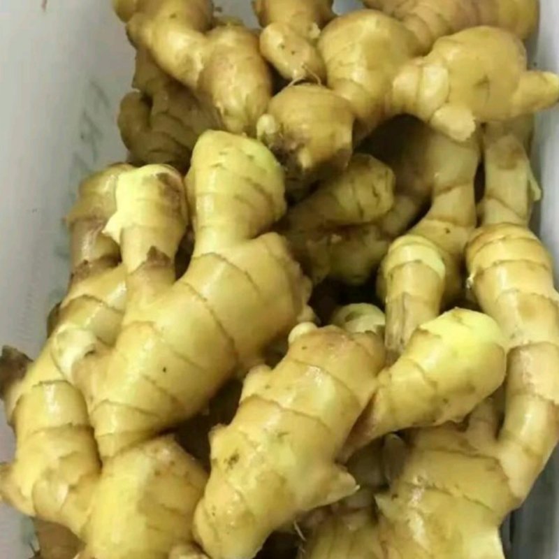 【电商专用】优质山东生姜～品种齐全～大量现货～品质保证