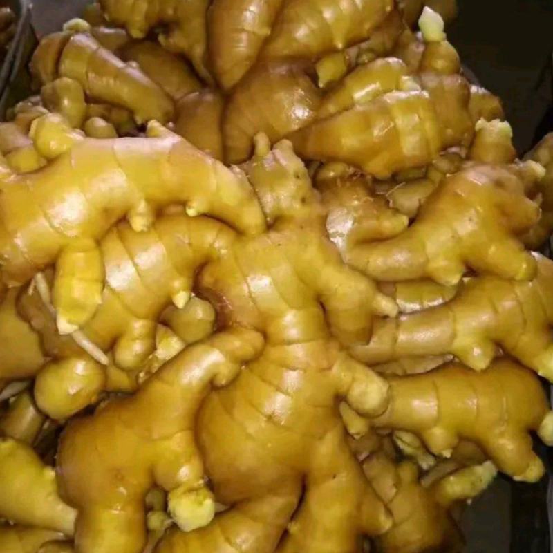 【电商专用】优质山东生姜～品种齐全～大量现货～品质保证