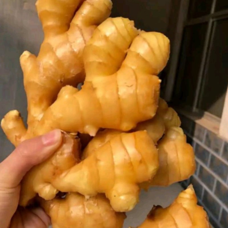 【电商专用】优质山东生姜～品种齐全～大量现货～品质保证