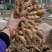 山东【大黄姜小黄姜鲜姜】大量有货色泽鲜艳辣味足