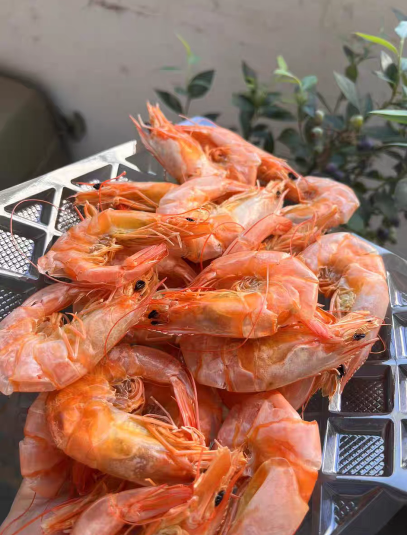 大虾干即食大号干虾大虾海鲜补钙干货烘烤无盐青岛大虾
