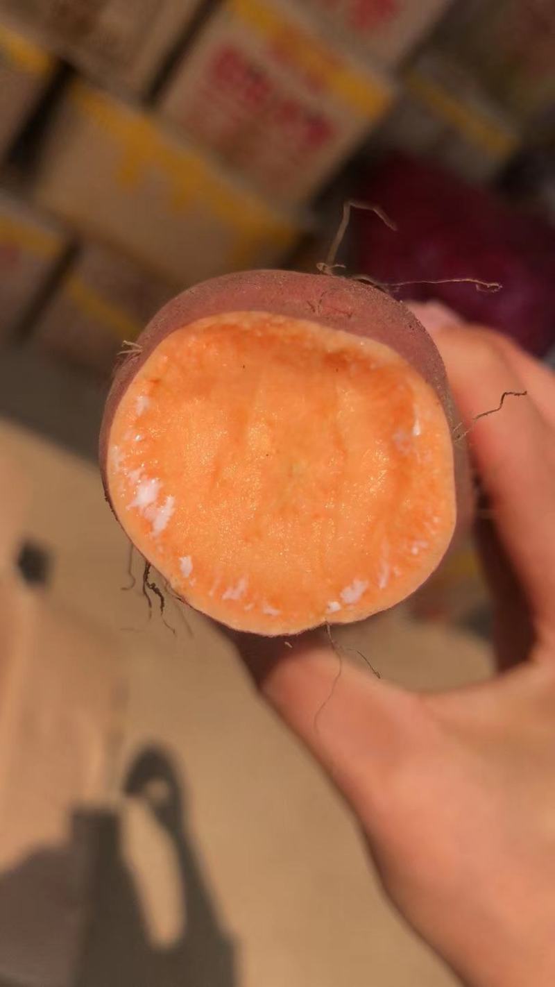 唐山沙地烟薯，软糯无丝