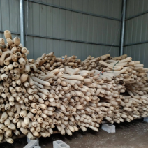 丝瓜络软瓜硬瓜都有50一斤50斤起批量大可以优惠