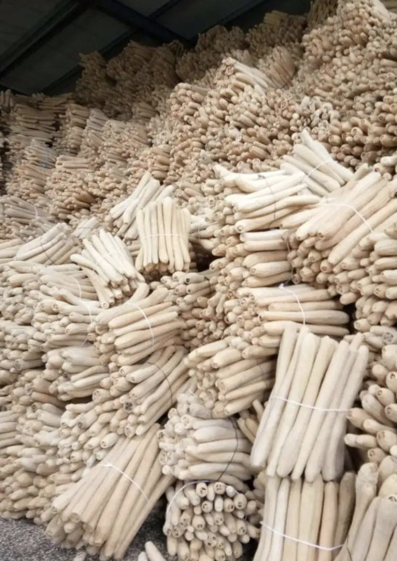 丝瓜络软瓜硬瓜都有50一斤50斤起批量大可以优惠
