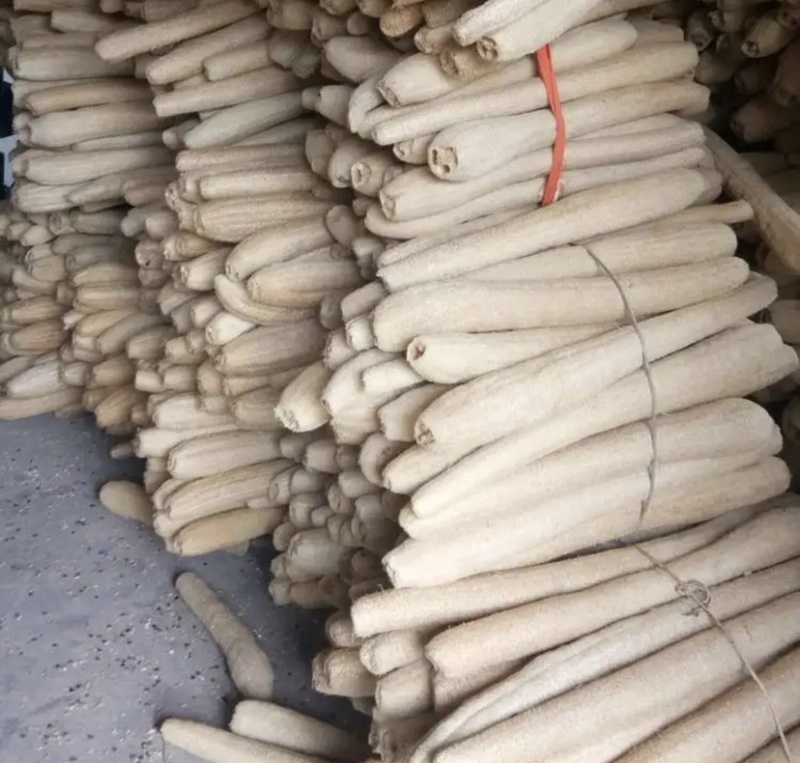 丝瓜络软瓜硬瓜都有50一斤50斤起批量大可以优惠