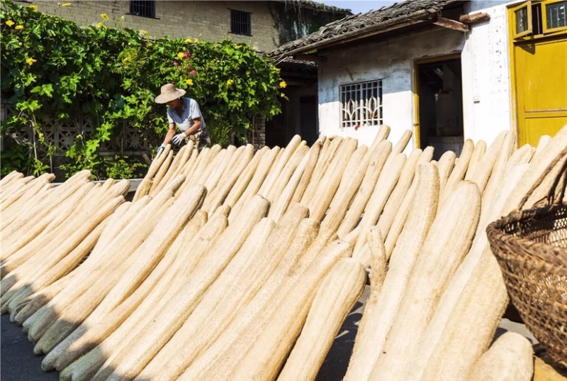 丝瓜络软瓜硬瓜都有50一斤50斤起批量大可以优惠