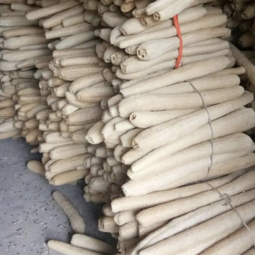 丝瓜络软瓜硬瓜都有50一斤50斤起批量大可以优惠