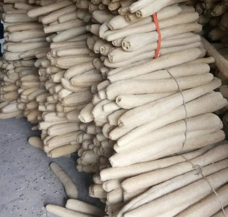 丝瓜络软瓜硬瓜都有50一斤50斤起批量大可以优惠