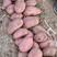 红皮黄心土豆：沙土基地货，质优价廉，质量保证，量大从优