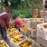 四川自贡荣县留佳爱媛基地