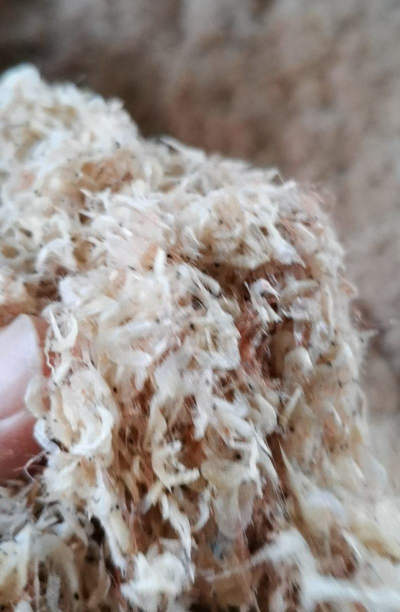 山东沾化渤海湾虾皮出新货了，欢迎大家采购