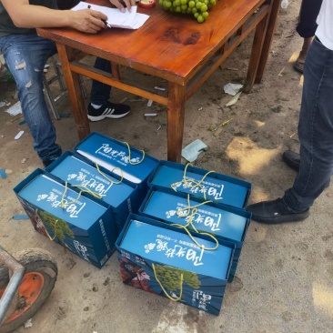 精品阳光玫瑰