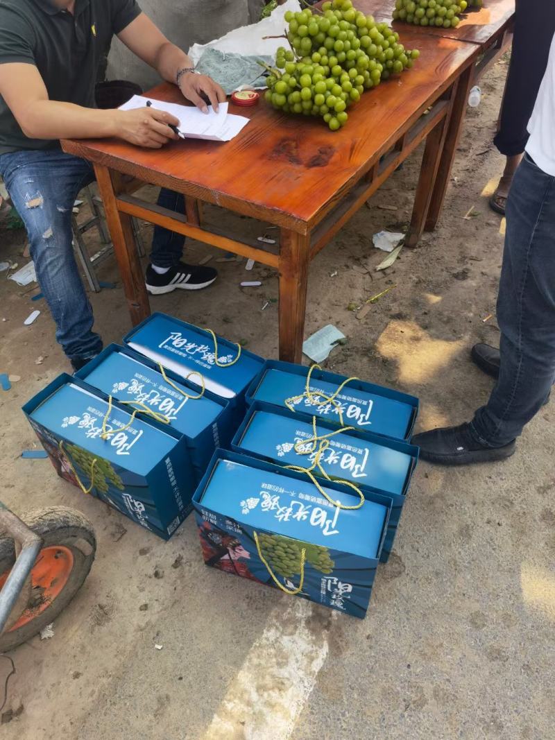 精品阳光玫瑰