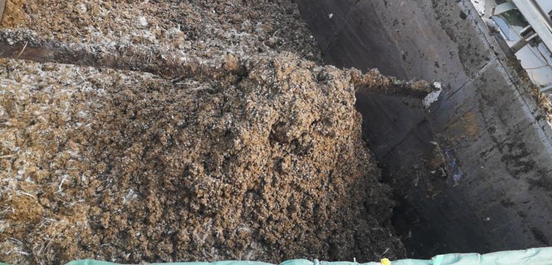 海量肉鸡粪，量大优惠