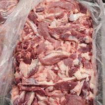 猪副产品冻猪46肉
