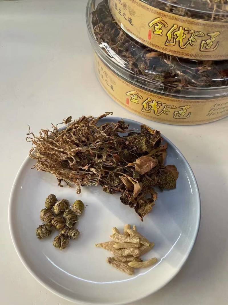金线莲