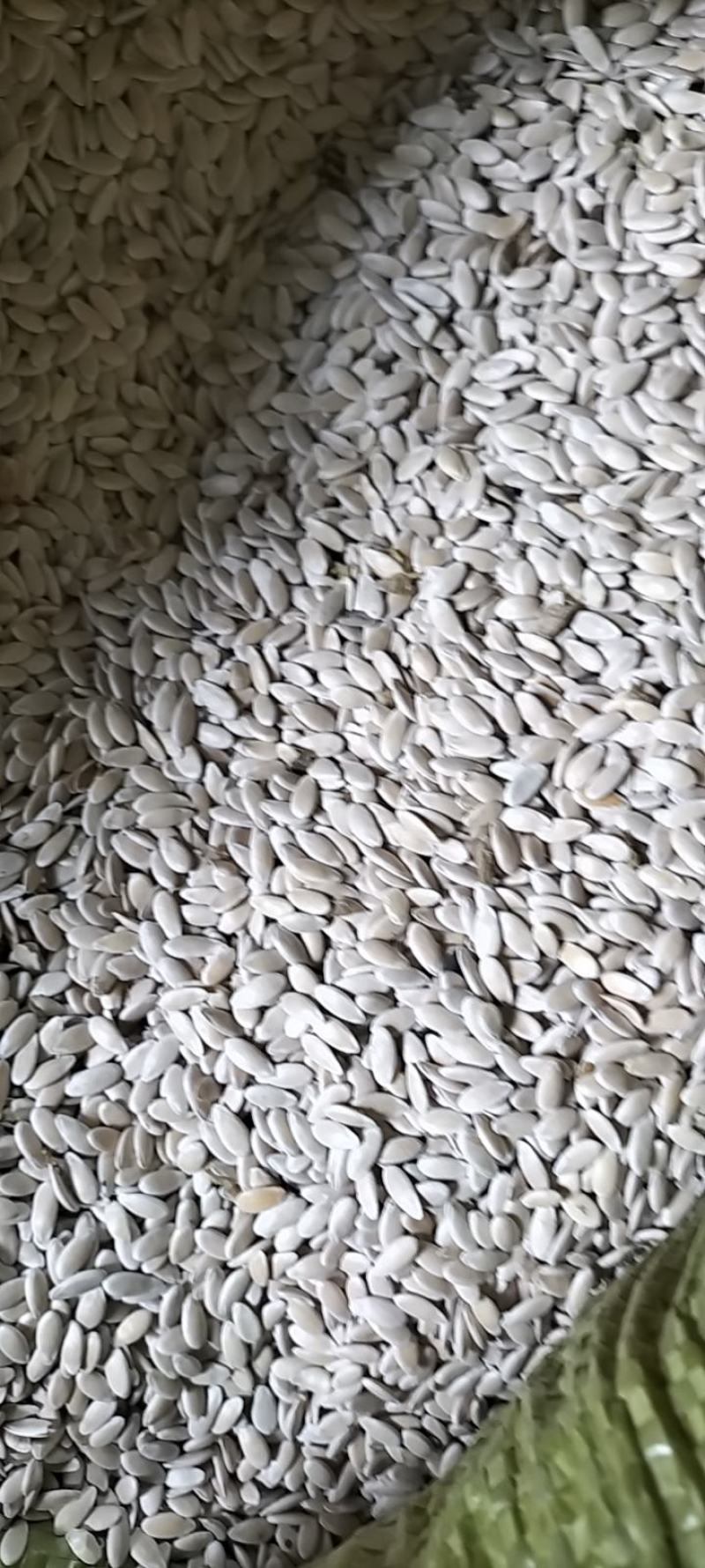 甜瓜子，，，，，水洗子，颜色好，没有花脸。需要的联系，