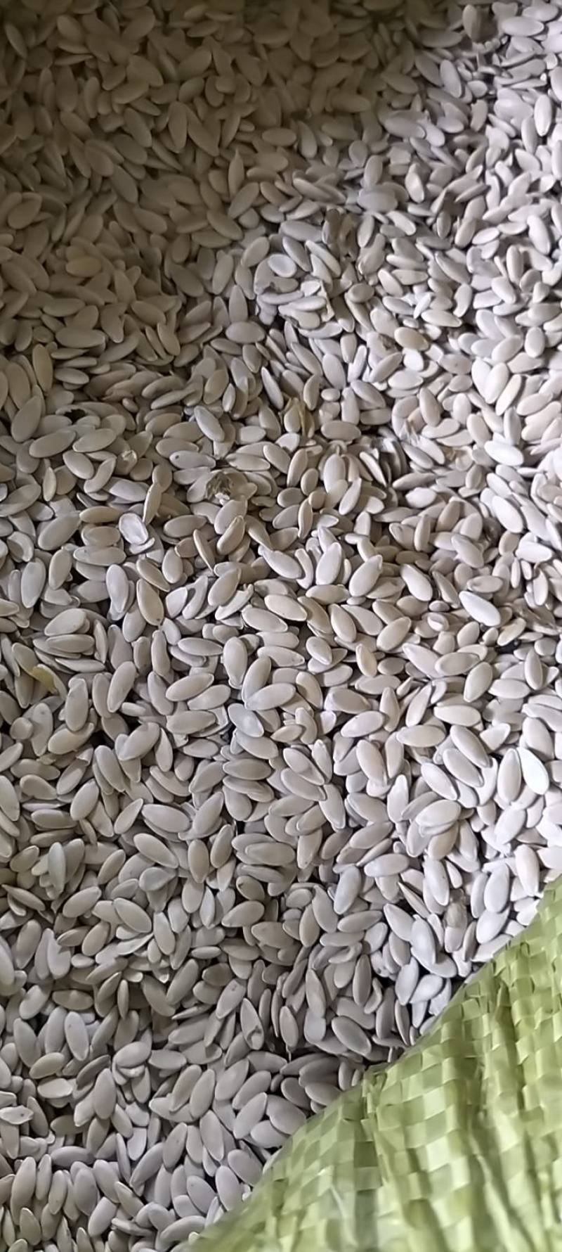 甜瓜子，，，，，水洗子，颜色好，没有花脸。需要的联系，