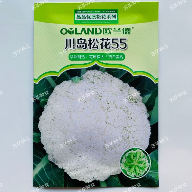 欧兰德川岛松花60精品优质花菜种子春夏秋季早熟耐热花椰