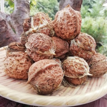 云南新鲜薄皮核桃去青皮核桃5斤包邮电商一件代发