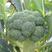 蔬菜籽天禧青绿80天西兰花种子浓绿细密耐寒耐湿抗病农家