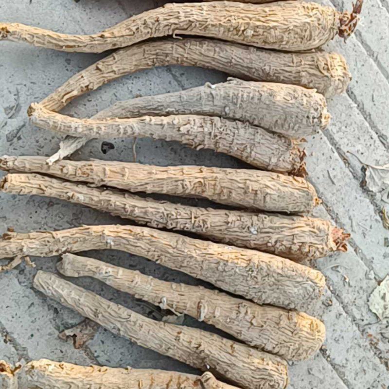 【推荐】白芷：亳白芷各种规格干净无杂质产地直发量大优包邮