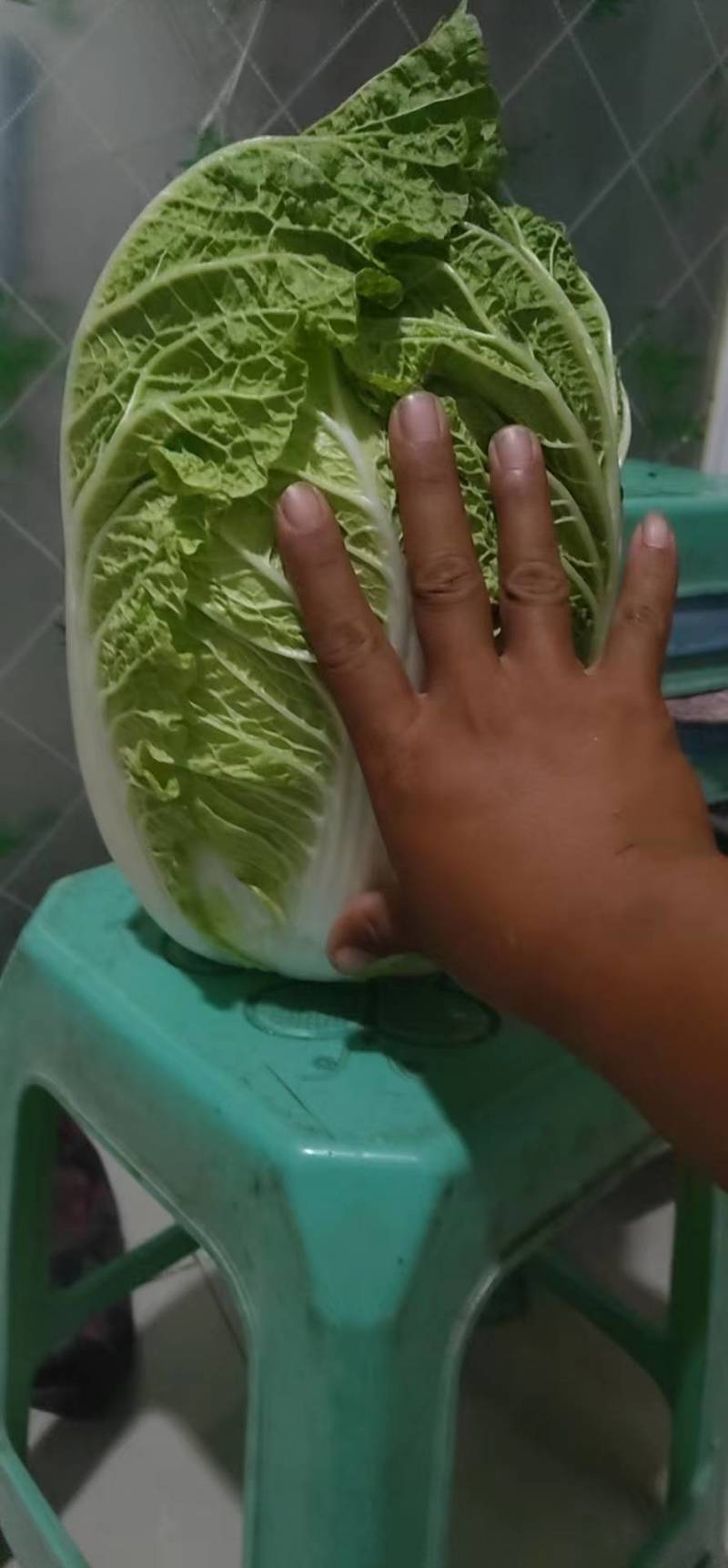 百亩玲珑黄，