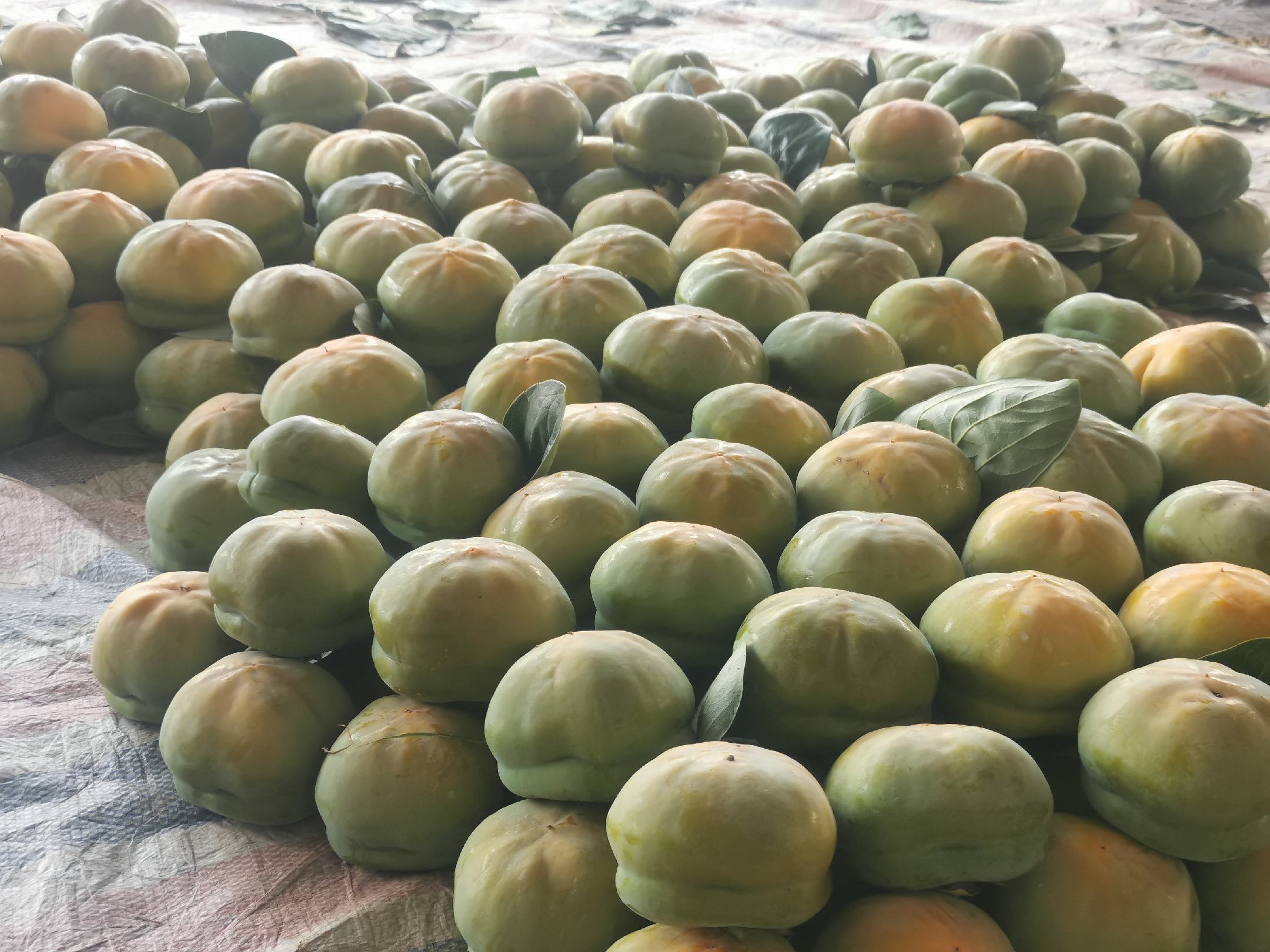 冻柿子与健康饮食搭配