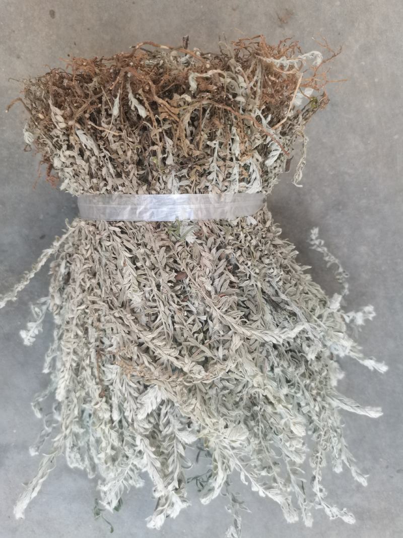 鹿茸草干货六月霜白毛鹿茸草纯净无杂草晒干大量有