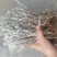 鹿茸草干货六月霜白毛鹿茸草纯净无杂草晒干大量有