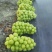 山东淄博市沂源县，沂蒙山存库优质阳光玫瑰葡萄。