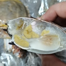 单冻中公梭子蟹，价格便宜，自助餐专用，香辣蟹，一件20斤