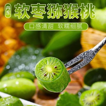 丹东软枣猕猴桃VC小仓库