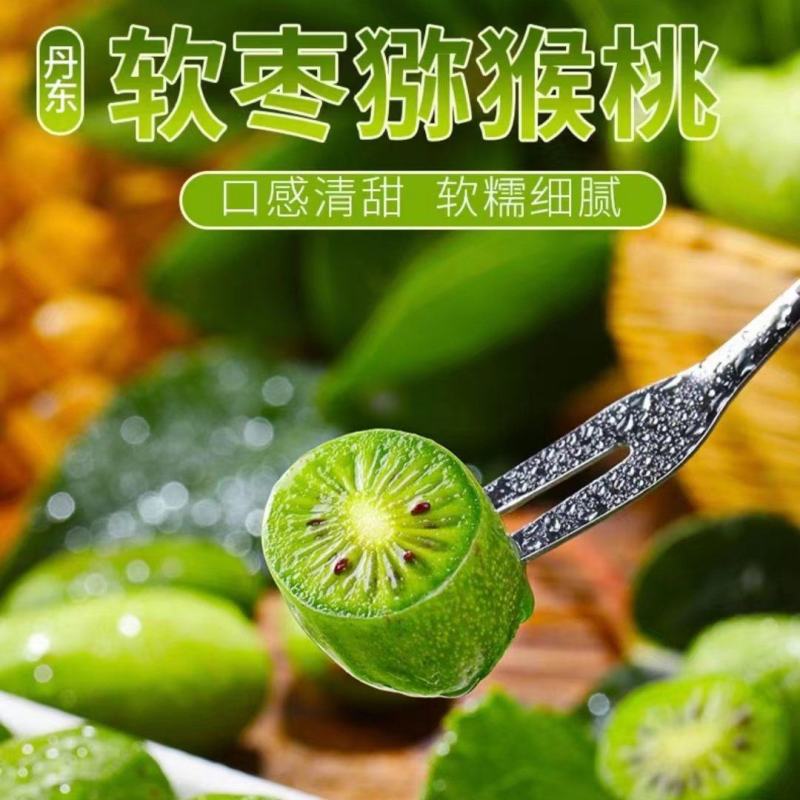 丹东软枣猕猴桃VC小仓库