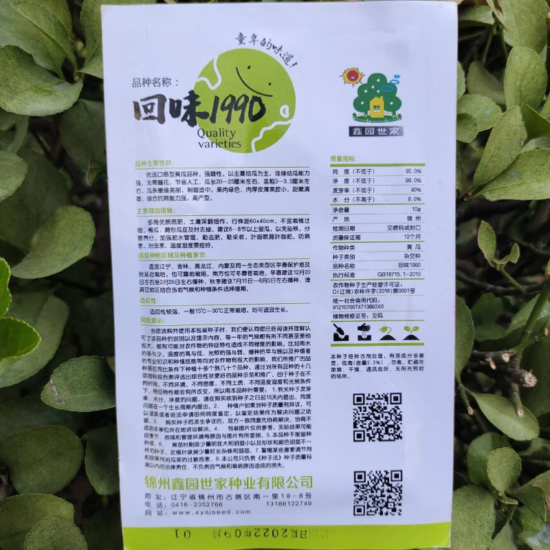 回味1990口感型黄瓜种子强雌水果黄瓜种子生吃甜嫩清香