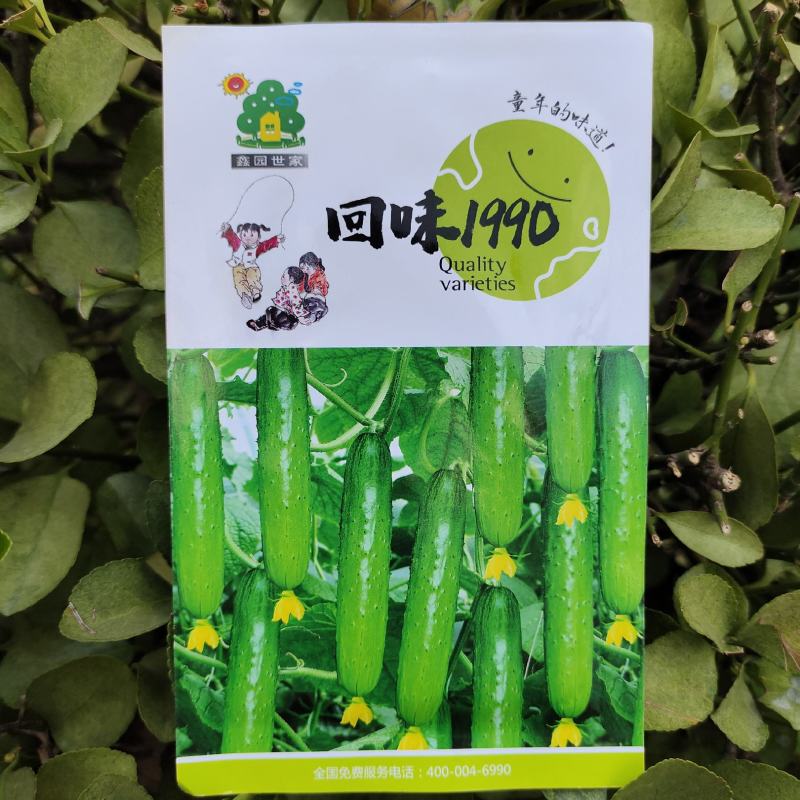 回味1990口感型黄瓜种子强雌水果黄瓜种子生吃甜嫩清香