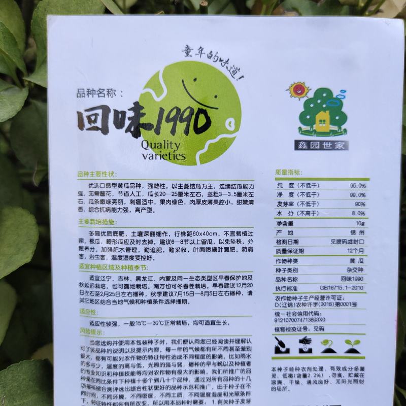 回味1990口感型黄瓜种子强雌水果黄瓜种子生吃甜嫩清香