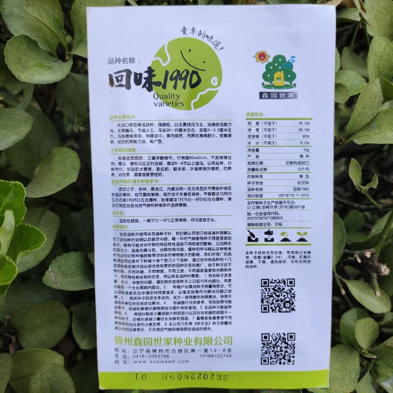 回味1990口感型黄瓜种子强雌水果黄瓜种子生吃甜嫩清香