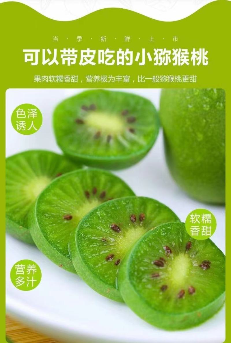 丹东软枣猕猴桃VC小仓库