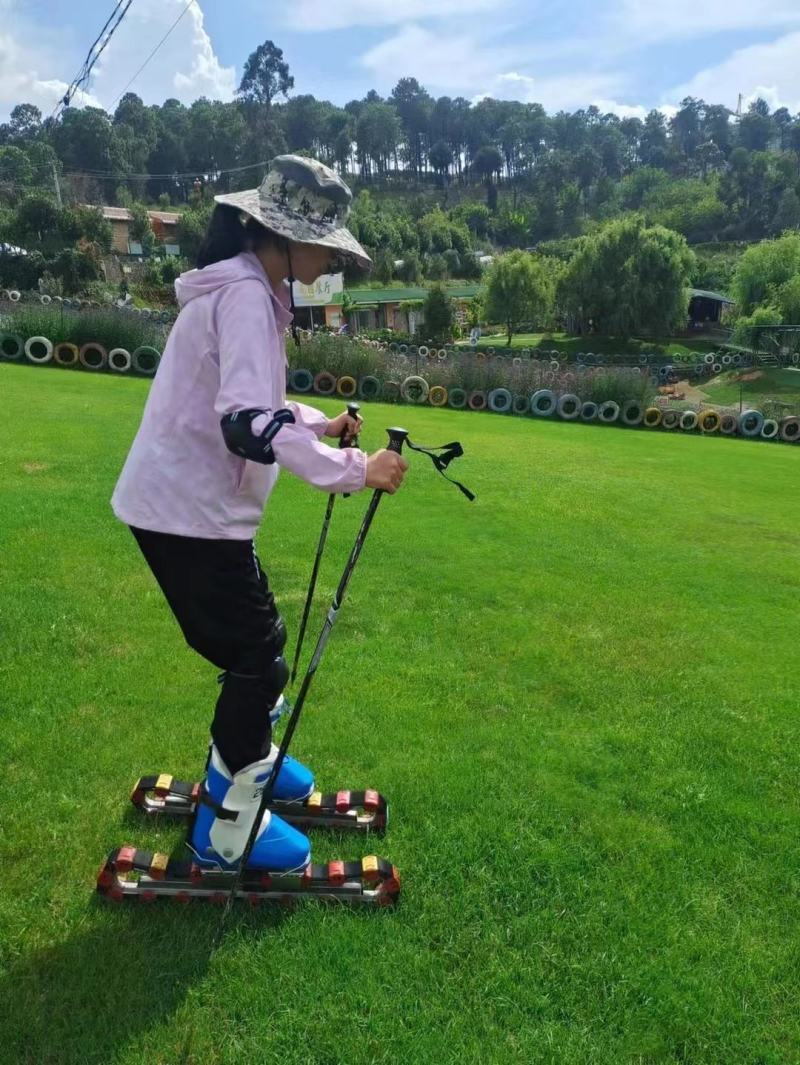 草坪种子四季青庭院护坡绿化紫羊茅高羊茅草坪草种子