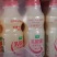 乳酸菌