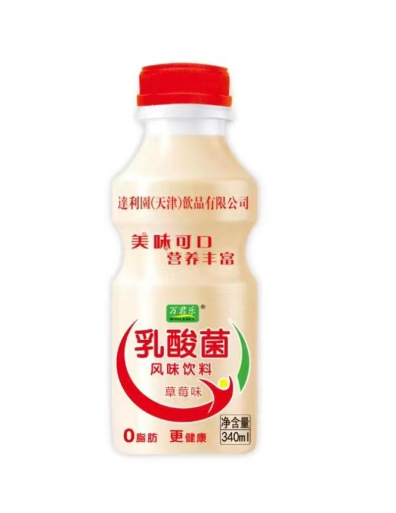 乳酸菌