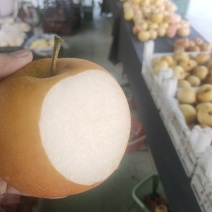 秋月梨