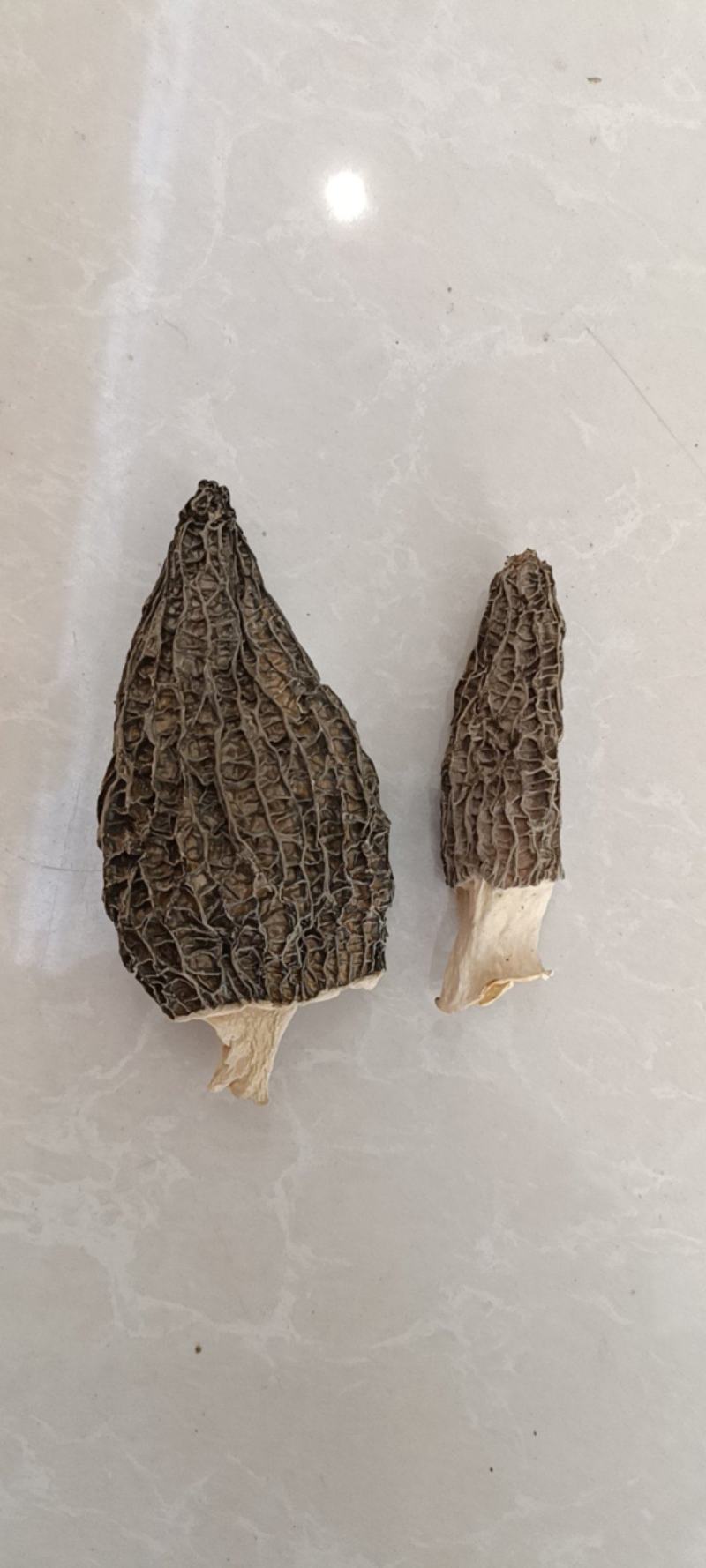 羊肚菌优质干品，无碎，好品类，不二之选！