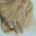 统糠、筛糠、油糠
